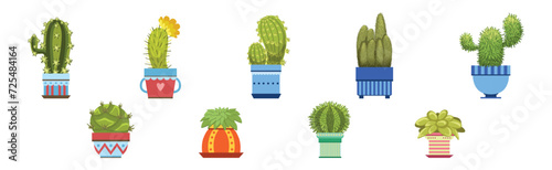 Green Spiky Cactus Plant Growing in Ornamental Ceramic Pot Vector Set