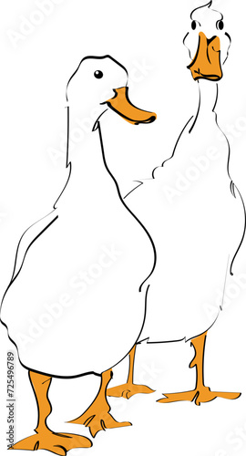 a linear sketch of a pair of white geese .A hand-drawn drawing with a black line on a white background.Stylish poultry for decoration and creativity