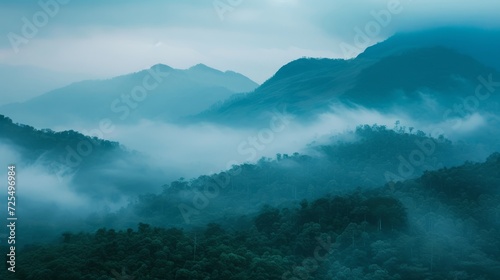 Mountains under mist in the morning Amazing nature scenery form Kerala God's own Country Tourism and travel concept image, Fresh and relax type nature image © Emil