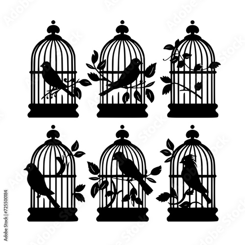 Bird Cage, cage svg, cage png, T shirt, clipart, png, svg, eps, jpg, vector, flower, floral, pattern, nature, illustration, leaf, vintage, art, plant, drawing, flowers, design, seamless, black, decora