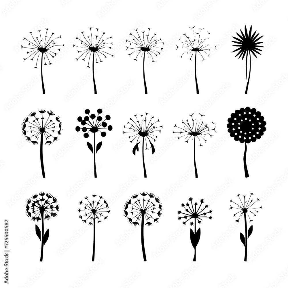 succulent-svg-cactus-svg-succulent-png-cactus-png-plant-svg-cactus
