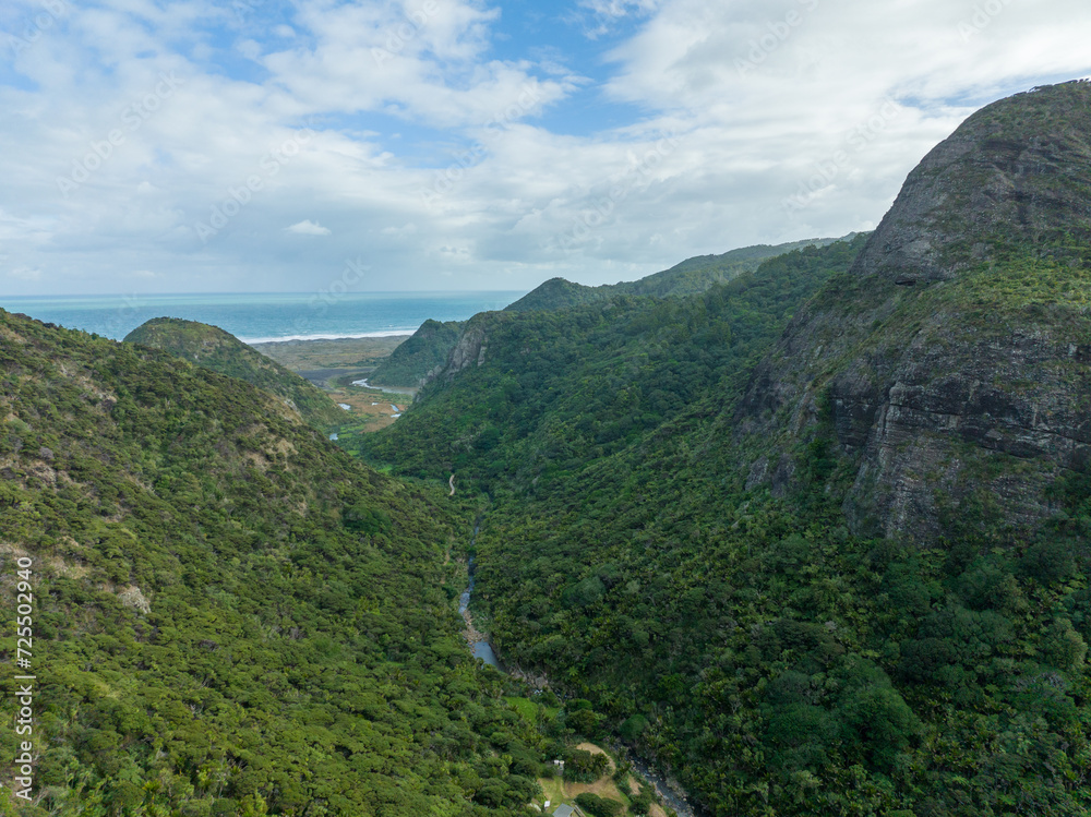 Naklejka premium Aerial: Forest and river in Pararaha Valley, Waitakere Ranges, KareKare, Auckland, New Zealand.