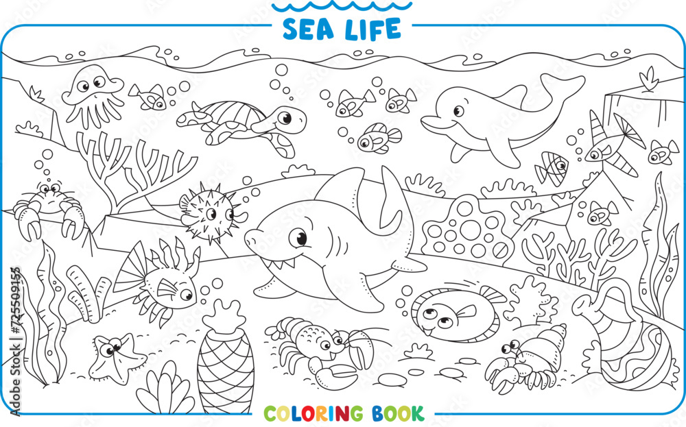 Sea theme. Big coloring book set. Kids vector