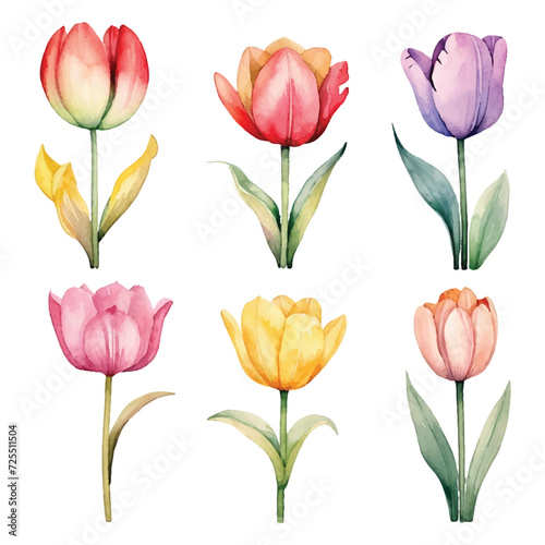 Cute Watercolor tulips pack