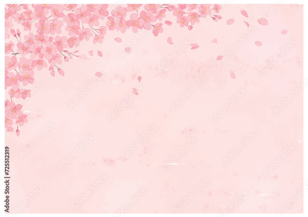 桜の花と舞う花びら　ピンクバック