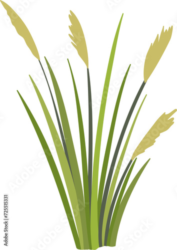 reed clipart