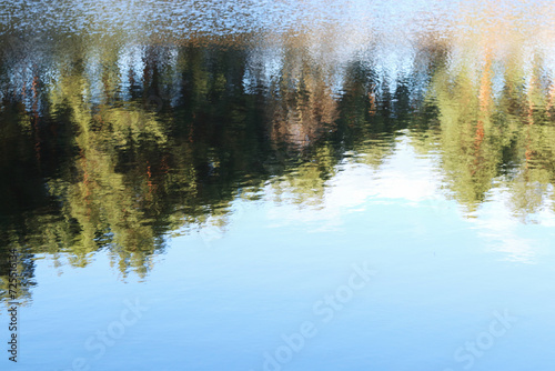 Reflection in the water of trees growing on the banks. Water reflection from forest. Lake. Abstract reflection of the trunks trees on a surface of the water with ripples. Surface of water with ripples