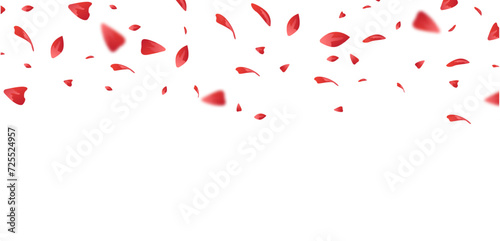 Red Rose Fly Vector Transparent Background. vector illustration