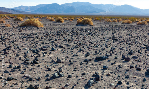 Black lava rocks in the dry hot Mojave Desert in California in a valley near Death Valley National Park