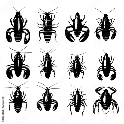 insect, ant, bug, vector, spider, fly, silhouette, animal, bee, beetle, nature, illustration, set, mosquito, black, collection, animals, pest, pattern, icon, butterfly, dragonfly, art, scorpion, insec photo