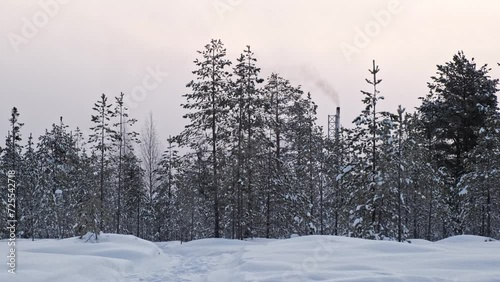 Heating plant among trees in cold winter day