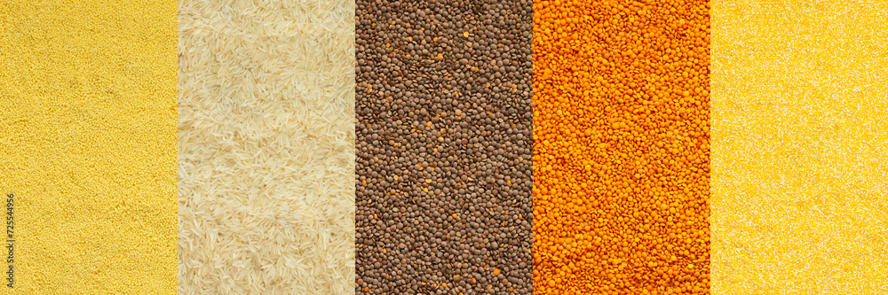 Various grain cereals banner, top view, corn and wheat grits, white rice, orange and brown lentils Various grain cereals banner, top view, corn and wheat grits, white rice, orange and brown lentils