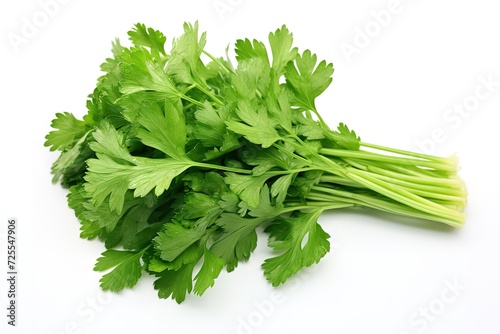 fresh parsley on a white background