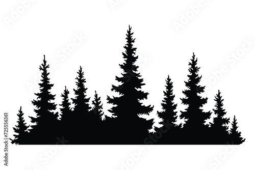 Fir trees silhouette. Coniferous spruce horizontal background pattern  black evergreen woods vector illustration. Beautiful hand drawn panorama of coniferous forest