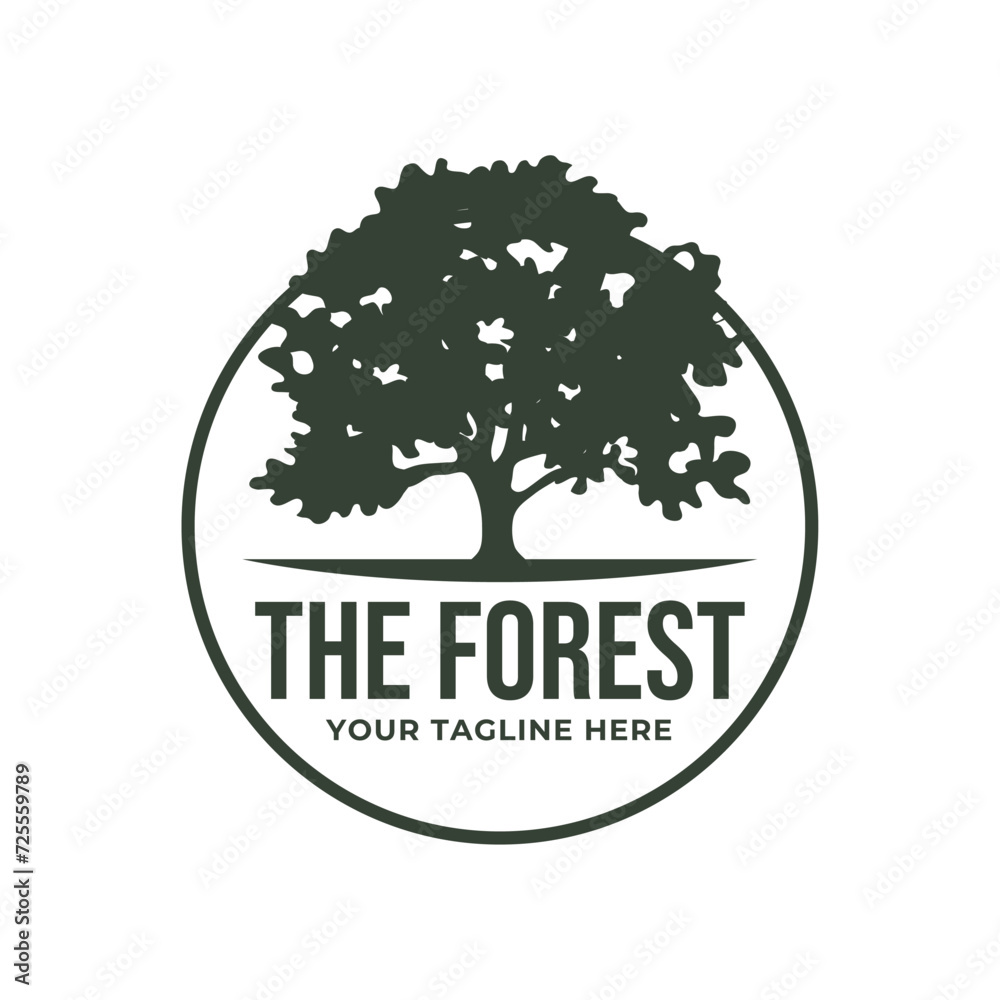 Obraz premium Tree logo design. Pine forest logo vector illustration