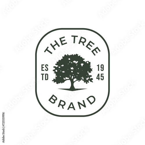 Tree logo design. Pine forest logo vector illustration
