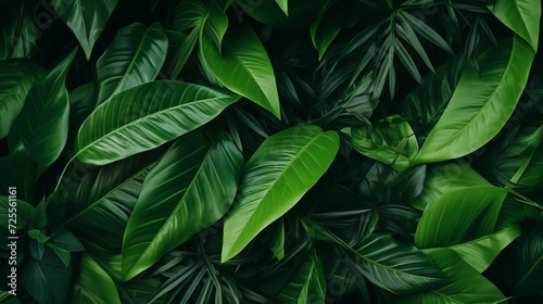 Green tropical botanical background of many various leaves