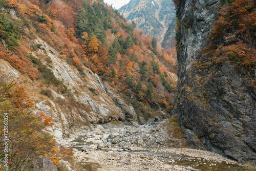 秋の峡谷 © Casey