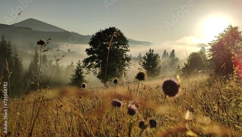 Beautiful sunrise on the moidow  in Carpathian mountains  photo