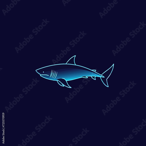 shark vector