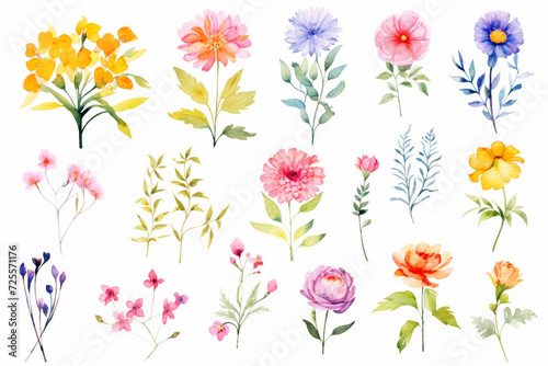 A set of vibrant, watercolor flower illustrations, ready to bring joy to any space , cartoon drawing, water color style