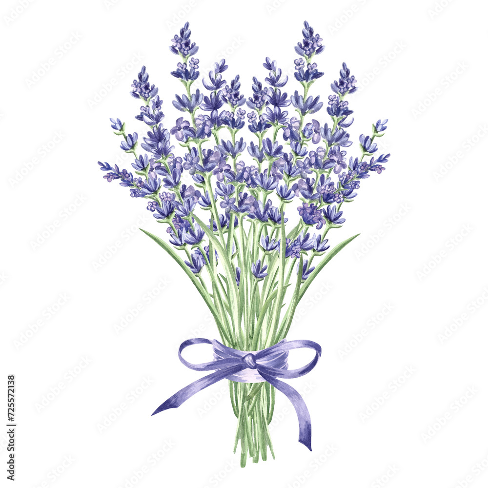 Obraz premium Lavender flowers bunch purple with bow, watercolor illustration. Isolated hand drawn Provence floral bouquet. Botanical drawing template for card, printing packaging or tableware, textile, embroidery