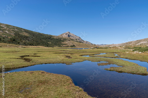 Blick   ber die Hochmoor Landschaft um den den Lac de Nino mit der Capu a Tozzu im Hintergrund  Korsika  Frankreich