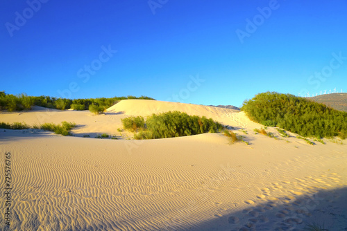 large sand dune of Valdevaqueros in Andalusia during the sunset, Tarifa, Costa de la Luz, Andalusia, province of Cádiz, Spain, Travel, Tourism