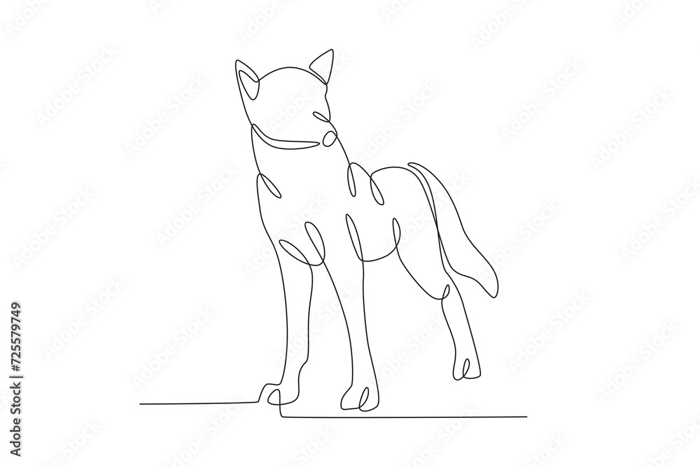 A wolf is watching his friend A wolf is watching his friend