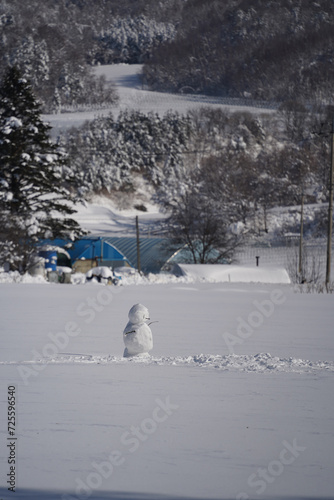 A snowman standing in the middle of a snowy rural village