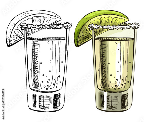 Glass tequila with slice lime. Vector vintage hatching