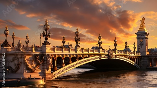 Alexandre III Bridge at amazing sunset - Paris, France 