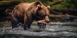 Grizzly Bear is catching fish in the middle of the river