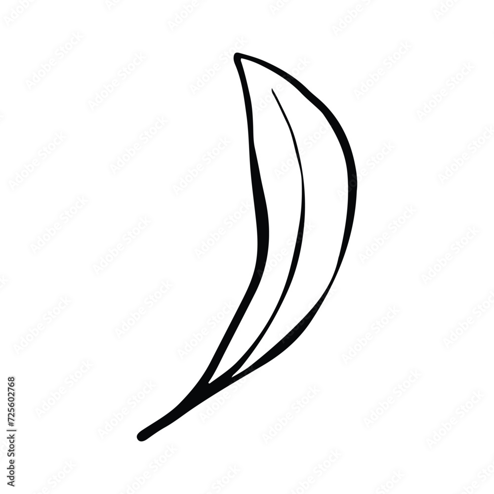 Single Leaf Line Art Illustration Isolated in White. Floral decoration branch leaf plant line. Modern single line art, aesthetic contour. Perfect for home decor such as posters, wall art, tote bag etc Single Leaf Line Art Illustration Isolated in White. Floral decoration branch leaf plant line. Modern single line art, aesthetic contour. Perfect for home decor such as posters, wall art, tote bag etc