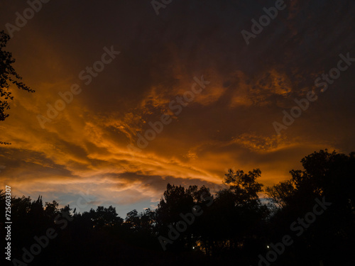 atardecer parque