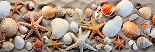 Top view of sandy beach with seashells and starfish as textured background for summer travel design