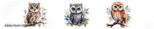 A cute paster color watercolor owl isolated on transparent background generative Ai