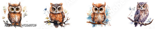 A cute paster color watercolor owl isolated on transparent background generative Ai