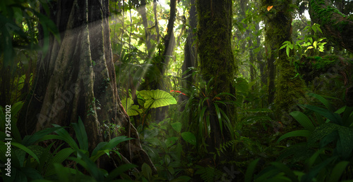 Landscape tropical rainforest © quickshooting