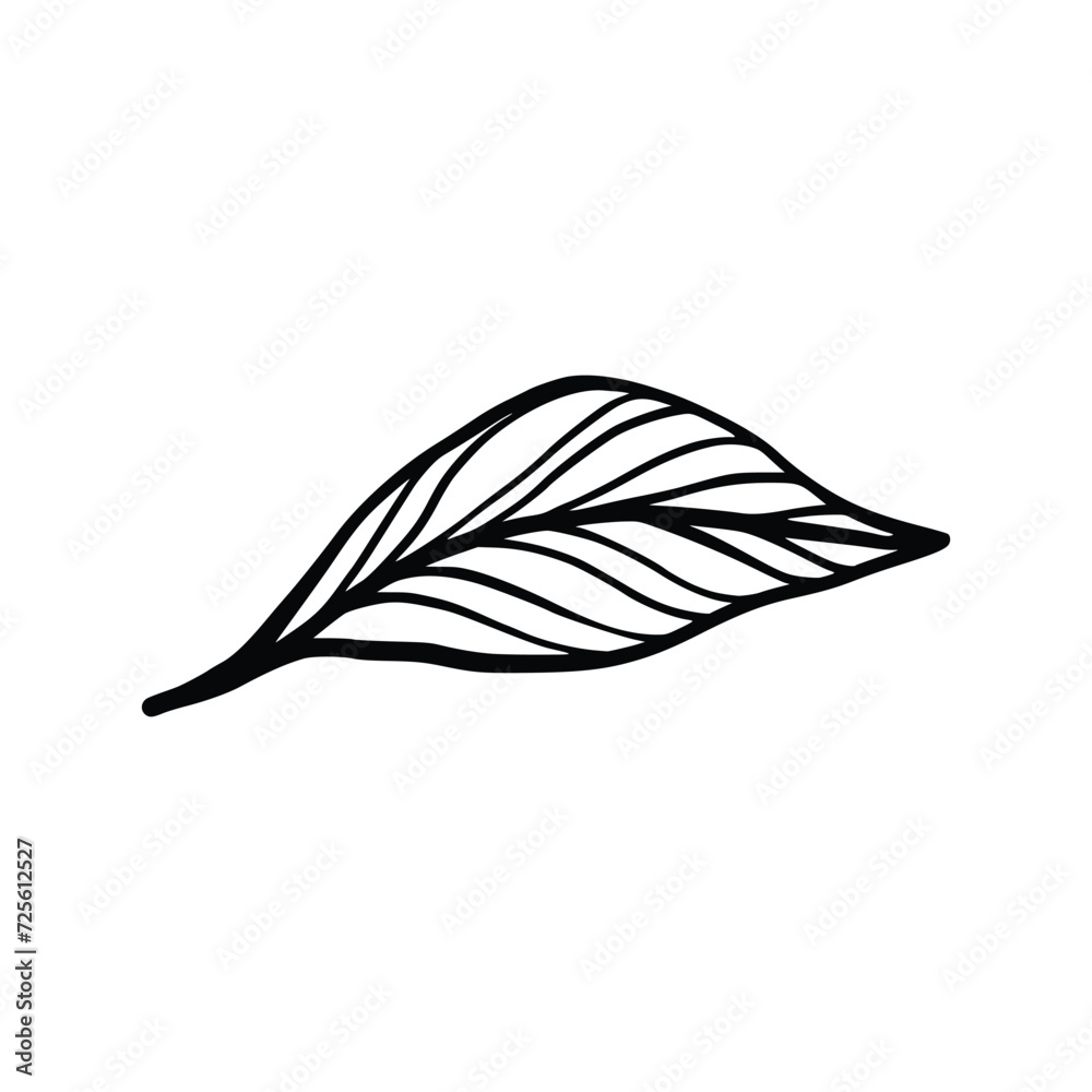 Obraz premium Single Leaf Line Art Illustration Isolated in White. Floral decoration branch leaf plant line. Modern single line art, aesthetic contour. Perfect for home decor such as posters, wall art, tote bag etc