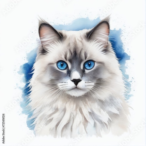 Watercolor blue point ragdoll cat