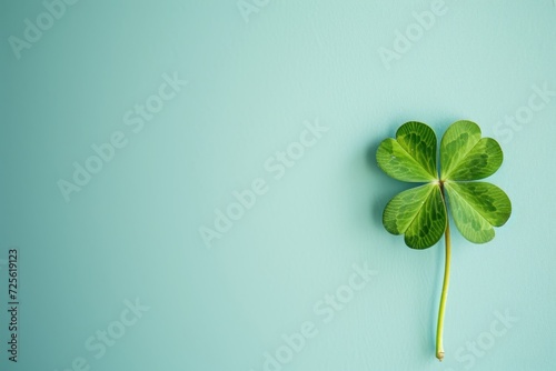 Shamrock four leaf clover on light blue background with copy space. St. Patrick's Day concept. 