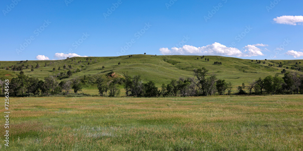 Rolling hills and the prairie in Custer State Park, Custer, South Dakota