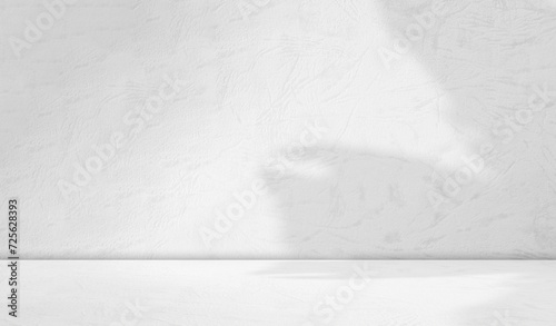 Background Floor Shadow Wall Kitchen Concrete White Texture Light Texture Abstract Mockup Product Marble Room Studio Display Plant Cement 3d Bg Minimal Shelft Bar Silhouette Leaves Backdrop Vintage. photo