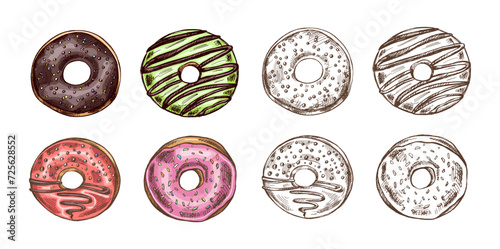 A hand-drawn colored and monochrome sketches of donuts. Top view. Vintage illustration.  Pastry sweets, dessert. Element for the design of labels, packaging and postcards.