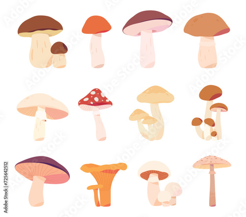 Cartoon mushrooms. Poisonous and edible mushrooms. Types of forest wild mushrooms. Vector illustration