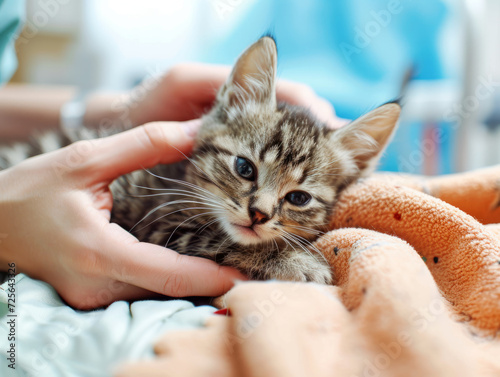 Little kitten with its owner.