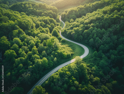 A winding road cuts through the green forest