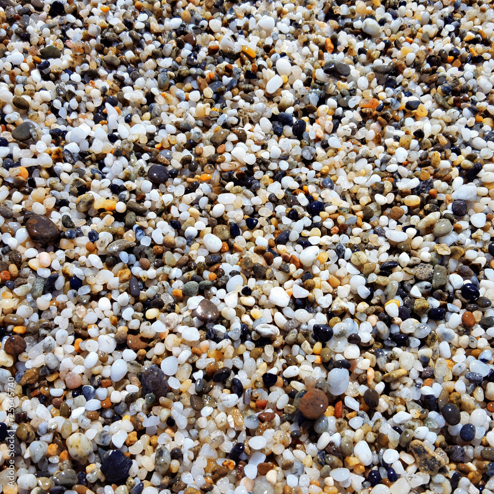 Sardisches Reis: Sandkörner auf der Spiaggia di Murtas Sardisches Reis: Sandkörner auf der Spiaggia di Murtas