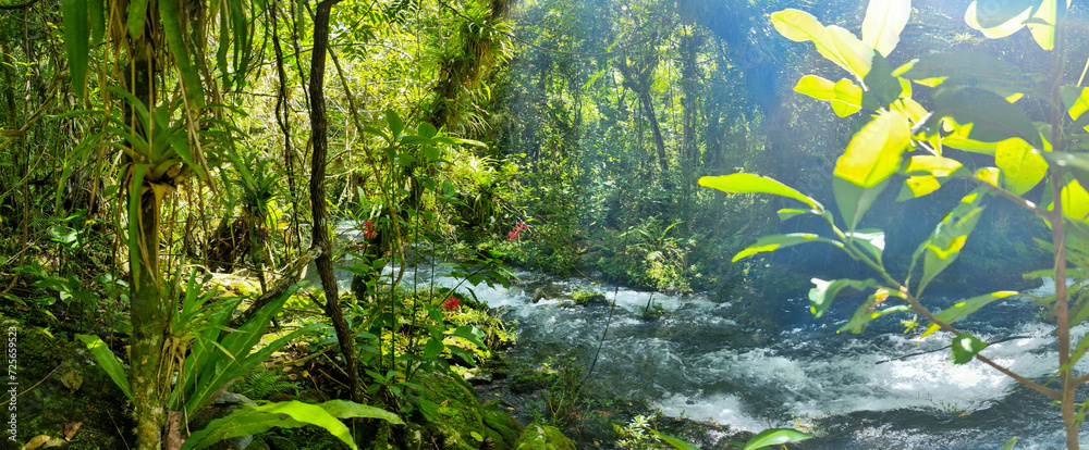 View at El Nicho waterfalls national park in Cuba View at El Nicho waterfalls national park in Cuba